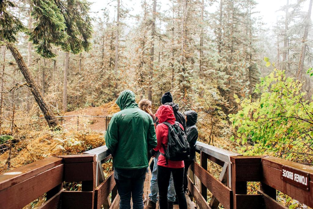 Forest Assessment