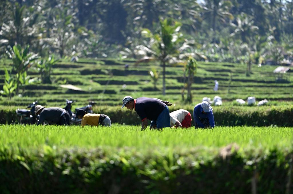 Sustainable Harvesting